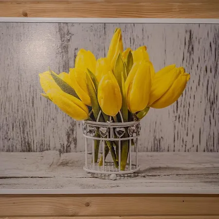 Hytte Eko Mamastra *