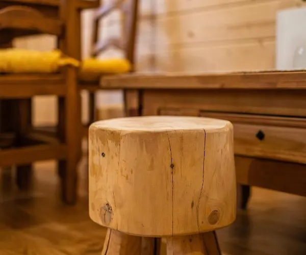 Eko Mamastra Szaflary