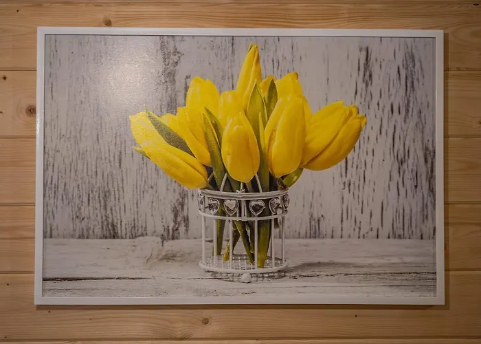 Domek letniskowy Eko Mamastra *