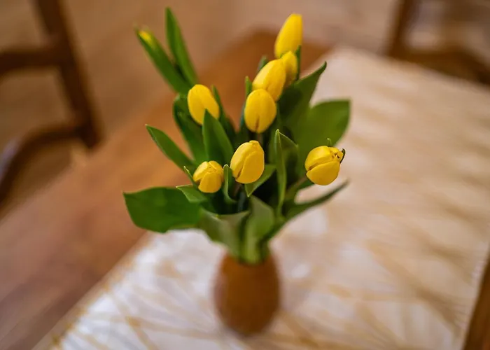 Eko Mamastra Szaflary